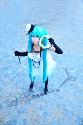 山茶花（白礼服）初音-萌图百科