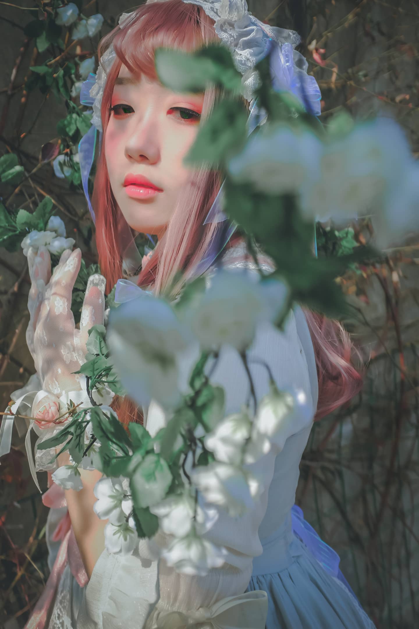ROSE  SECRET-萌图百科