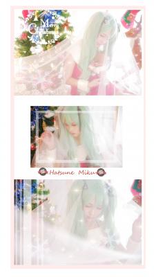 TYA事务所  V家 miku 圣诞-萌图百科