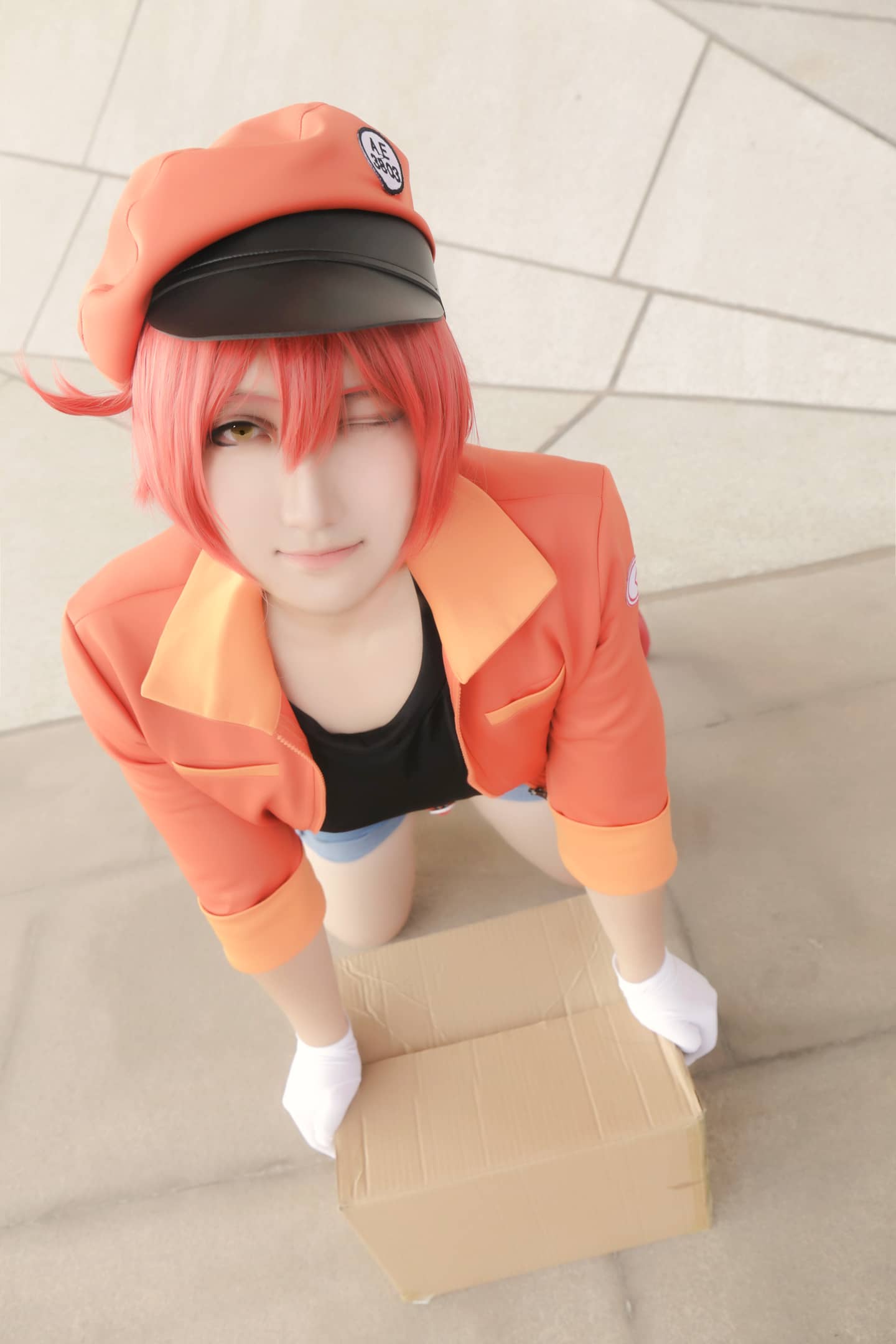 工作细胞红细胞cosplay-萌图百科