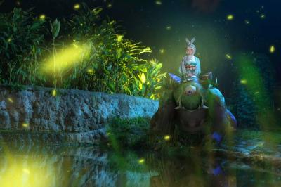 TYA事务所  阴阳师手游-萌图百科