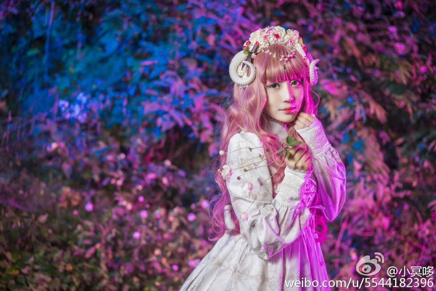 lolita私影，小仙女本人-萌图百科
