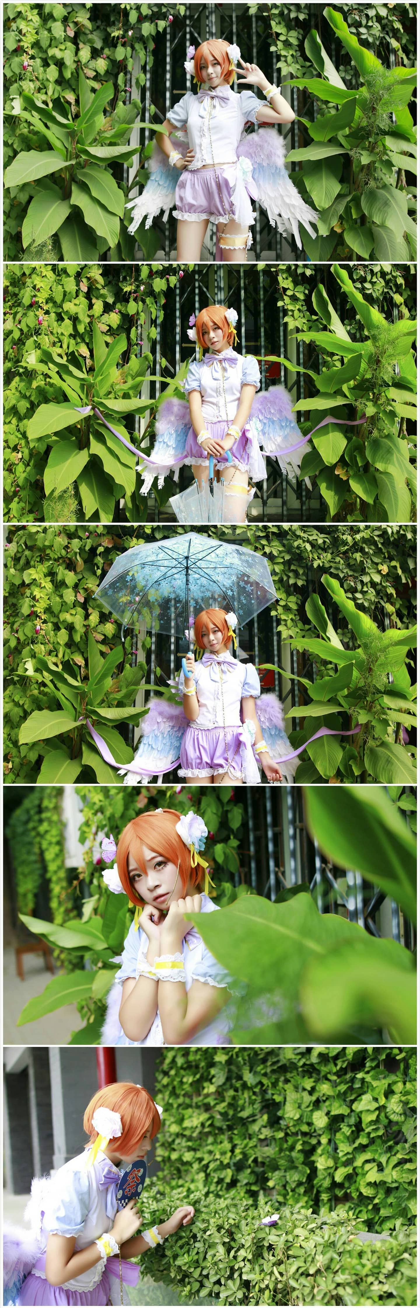 白情♡-萌图百科