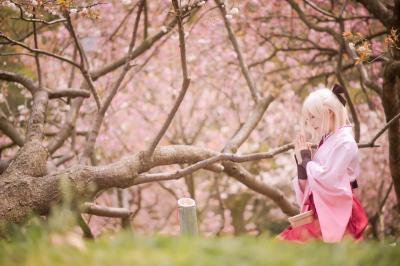 Fate/GrandOrder  冲田总司cosplay-萌图百科