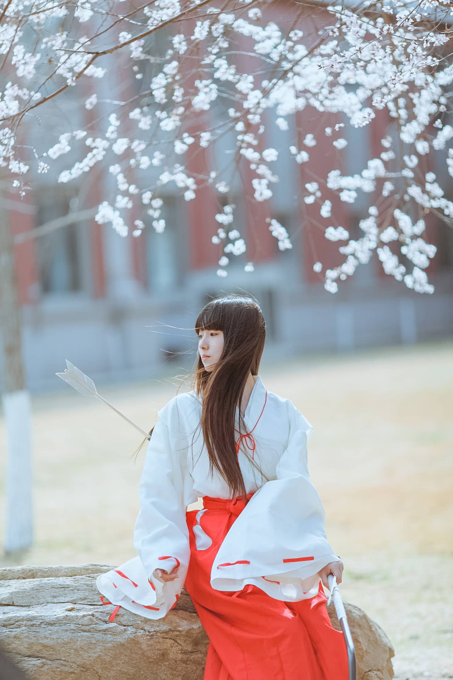 TYA事务所 犬夜叉 桔梗-萌图百科