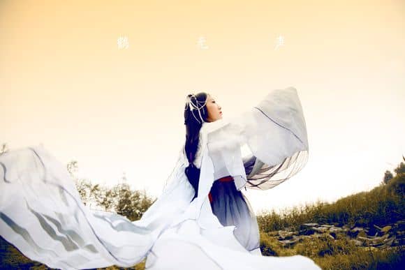 鹤拟人cosplay-萌图百科