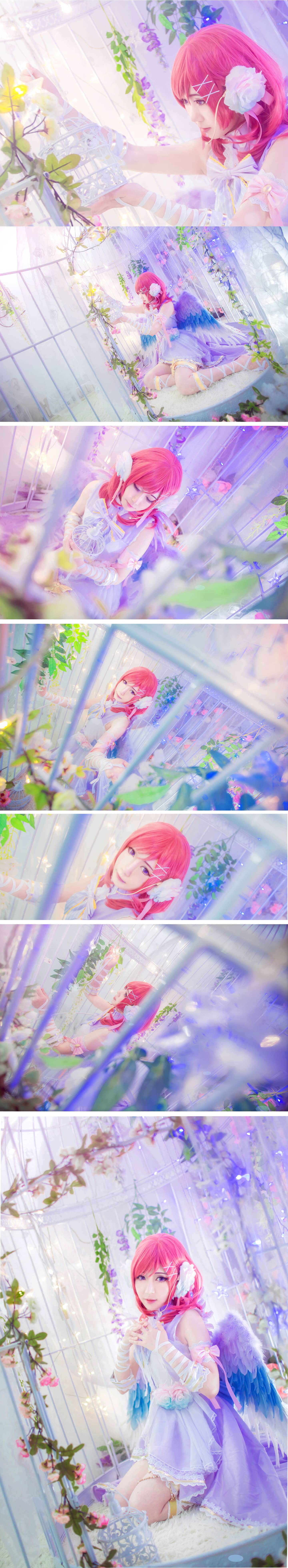 西木野真姬cosplay即使身缚笼中，也会化为白鸟见你-萌图百科