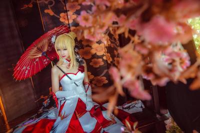 saber 仙鹤礼服-萌图百科