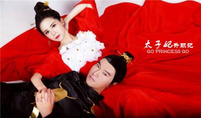 太子妃升职记-萌图百科