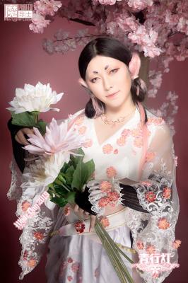 2019魔导士白色情人节春花祭专题-青行灯-萌图百科