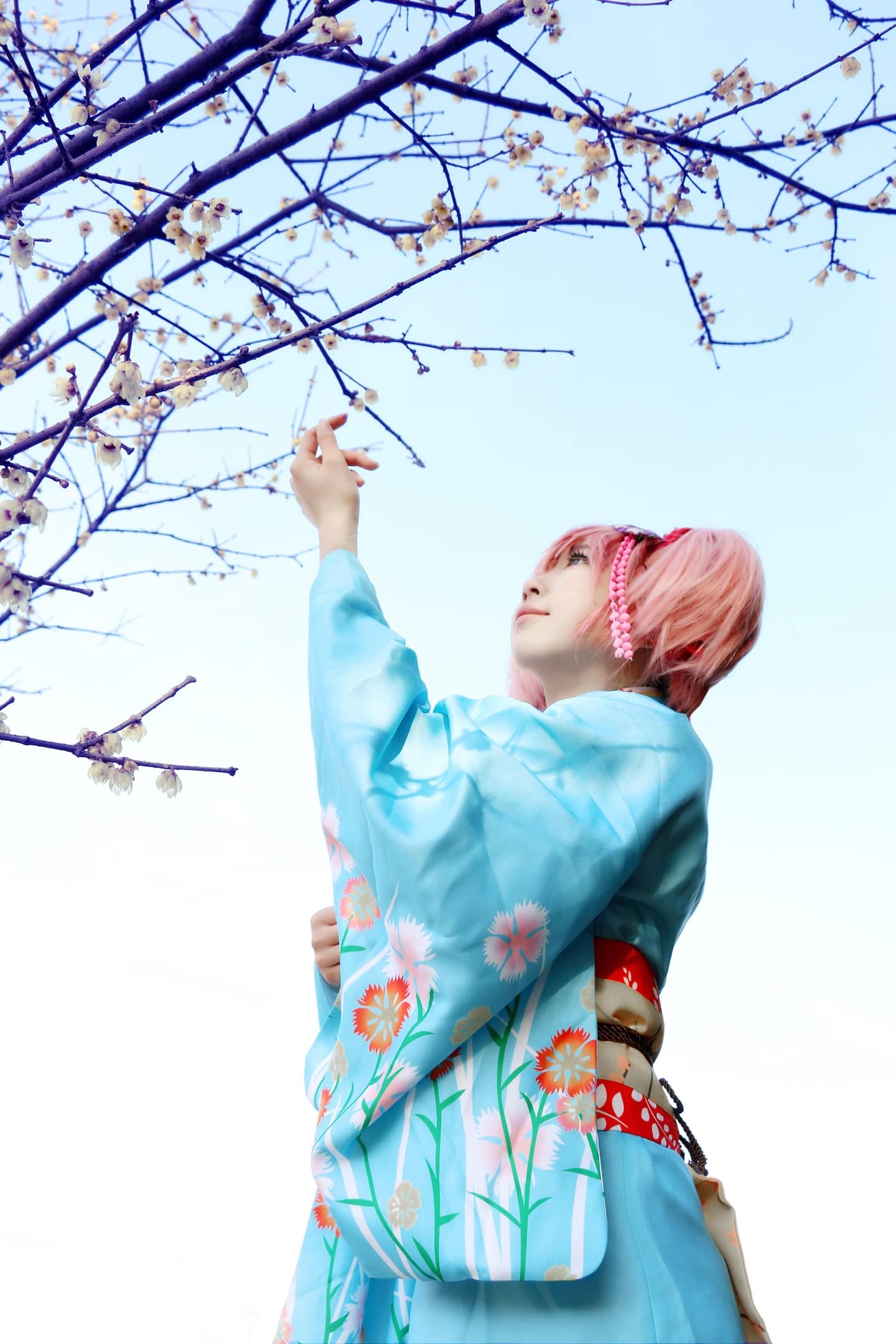 魔法少女小圆•小圆和服.Ver-萌图百科