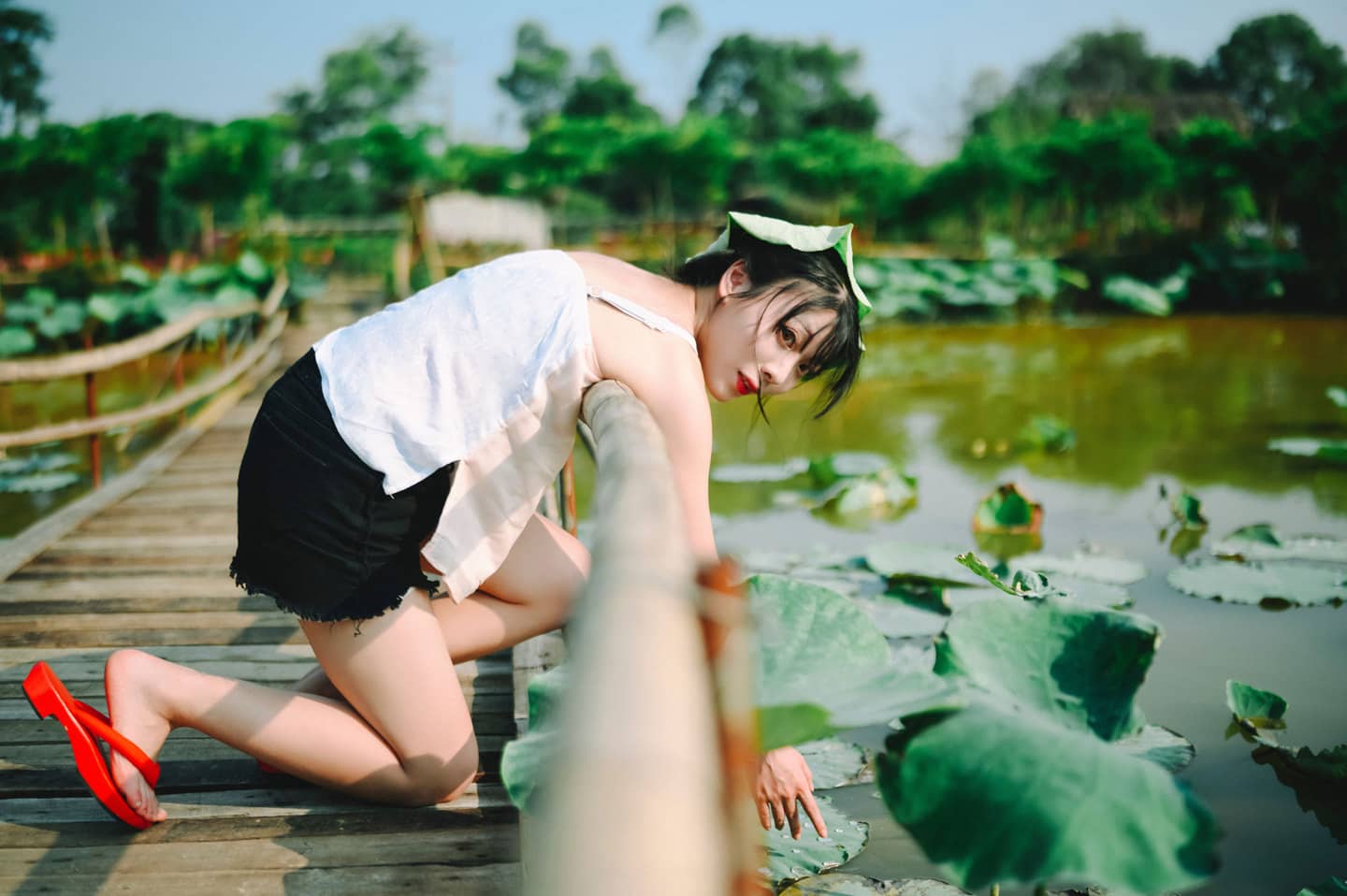 少女写真，夏荷-萌图百科