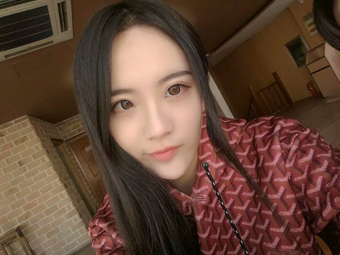TYA事务所 小七-萌图百科