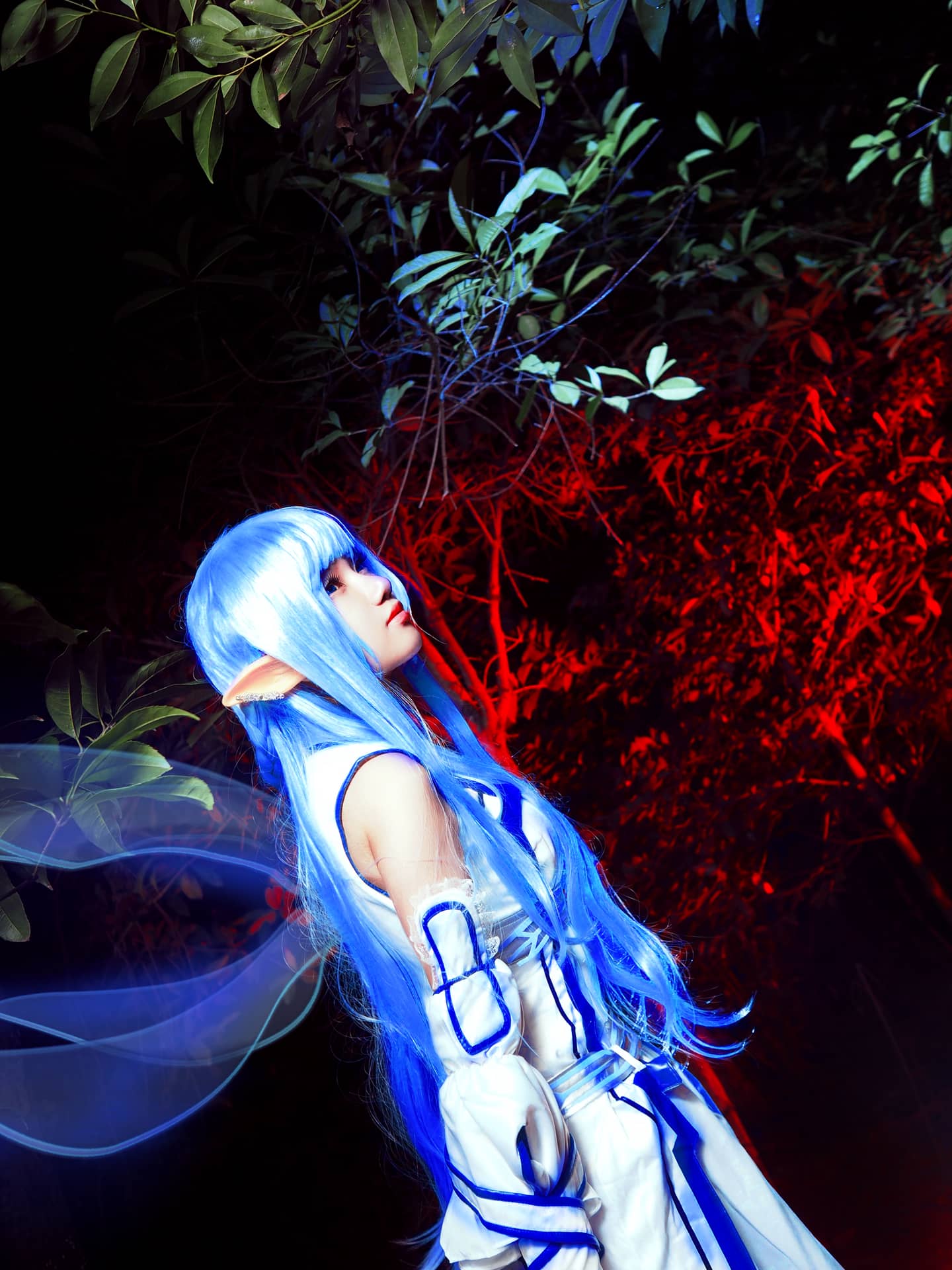 刀剑神域亚丝娜水精灵.COSPLAY-萌图百科