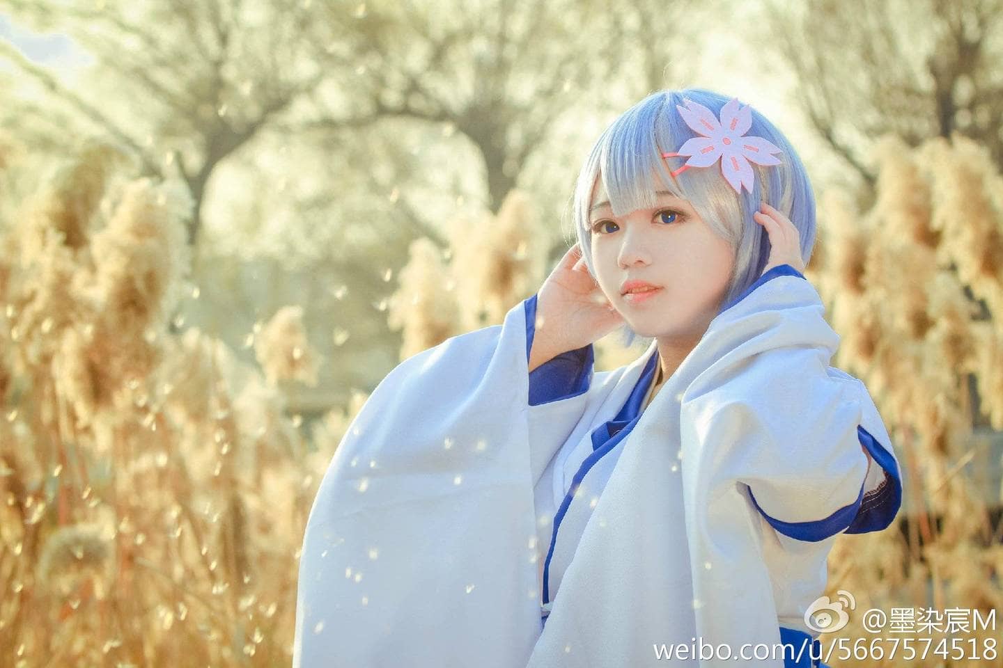 从零开始的异世界生活-萌图百科