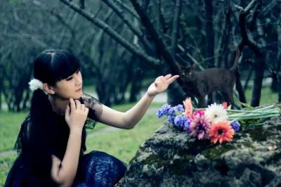【MS社】苏小柒的猫-萌图百科