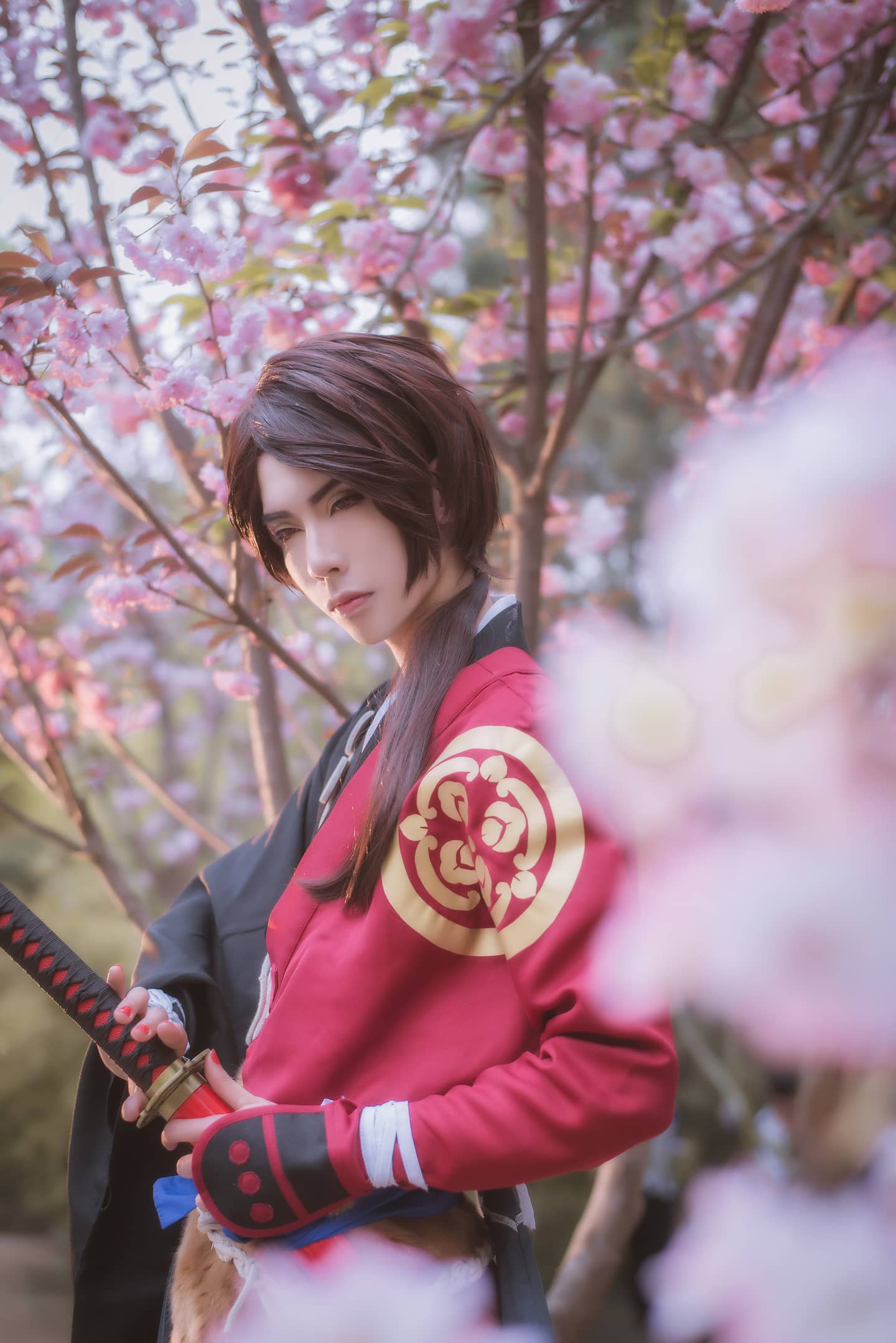 刀剑乱舞加州清光cosplay，果然樱花和武士刀也是一种浪漫~-萌图百科