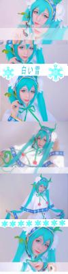 ——2015雪miku——愿歌声伴随白雪温暖你的心~-萌图百科