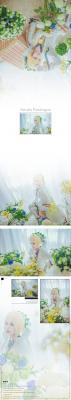Fate/Grand Order尼禄花嫁cosplay-萌图百科