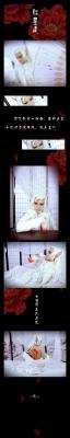 霹雳布袋戏 绮罗生 cosplay-萌图百科