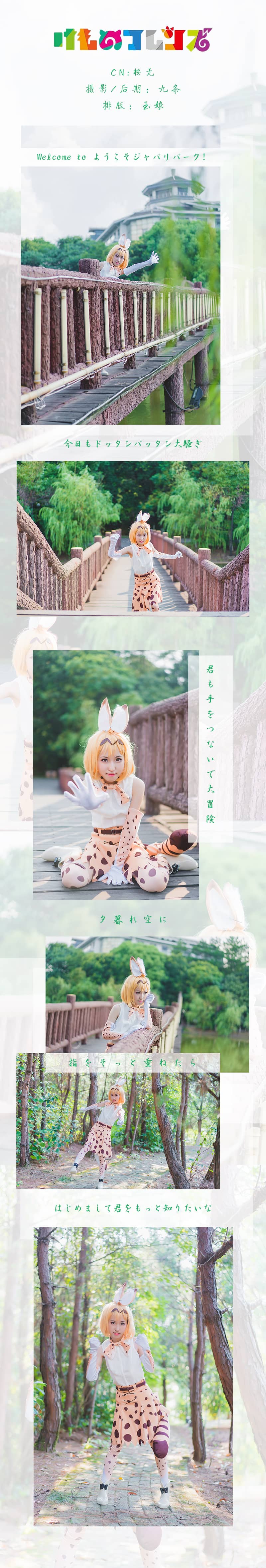 兽娘动物园薮猫cosplay-萌图百科