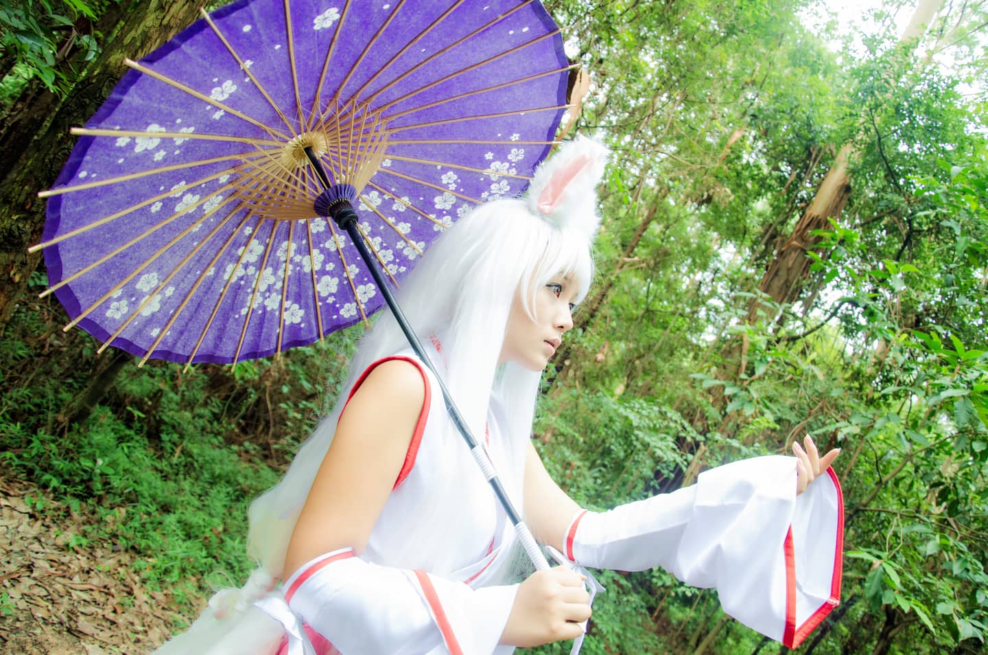 TYA事务所 灵猫 狐狸看板娘 Cosplay-萌图百科