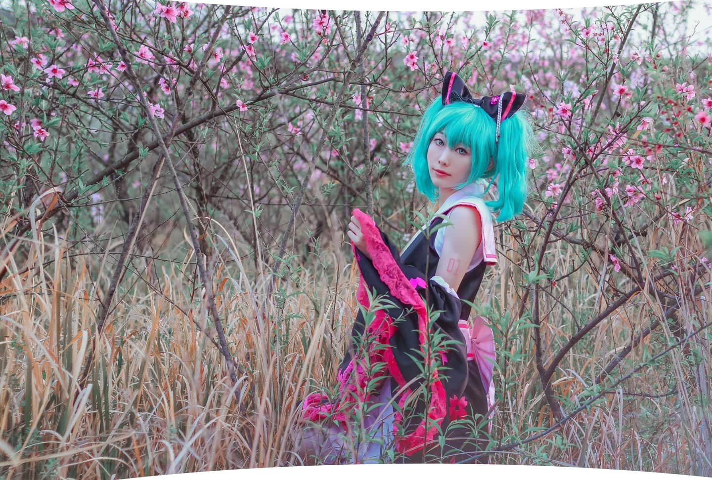 初音樱花和服-萌图百科