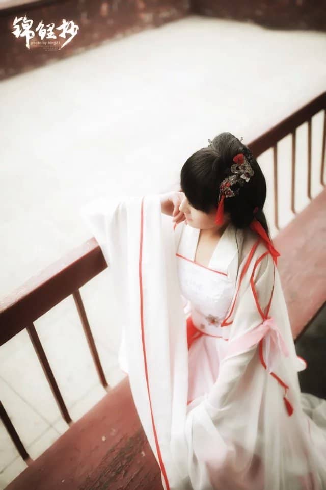 锦鲤抄-萌图百科