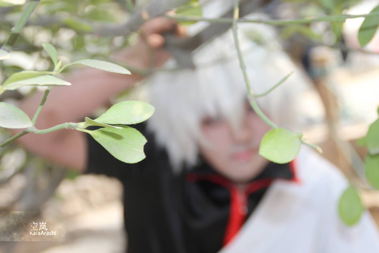 坂田银时cosplay，既然敢进来就要有看到春一般银桑的觉悟-萌图百科