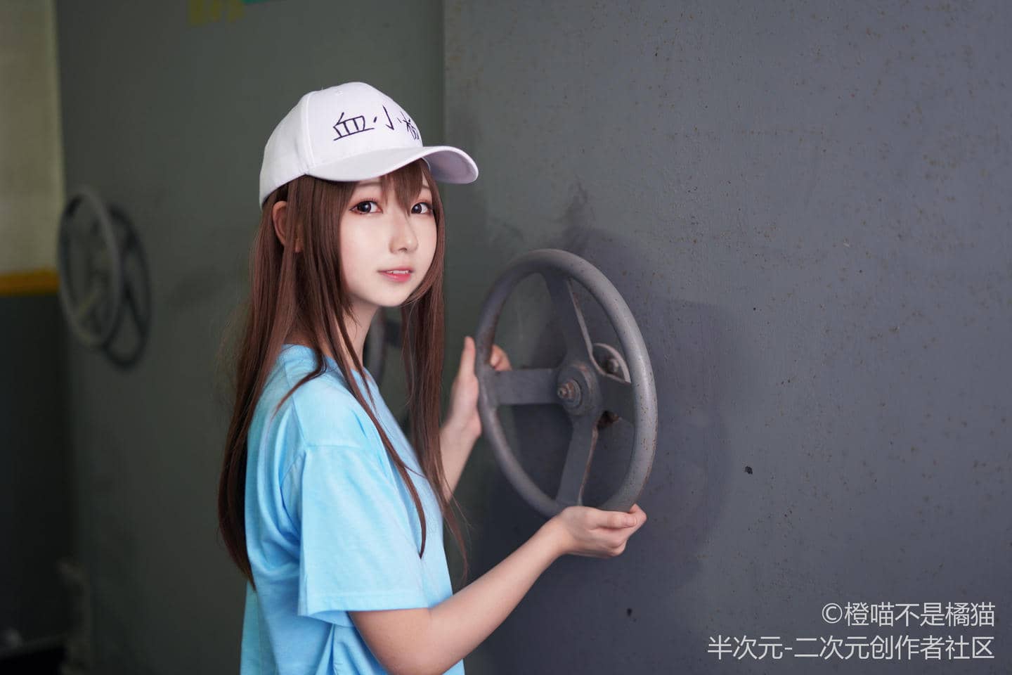 工作细胞  血小板cosplay-萌图百科