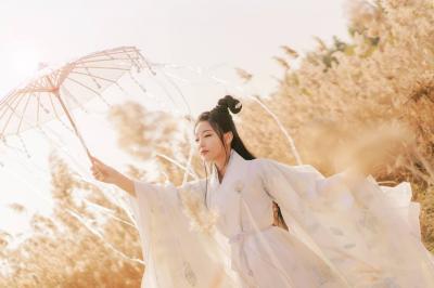 古风·摄影-萌图百科