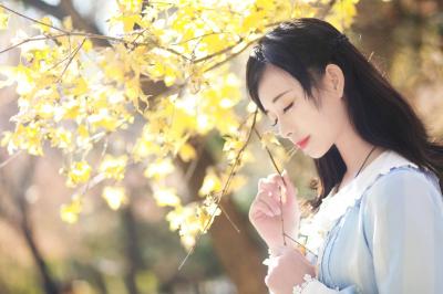 lolita私影 银杏叶get-萌图百科