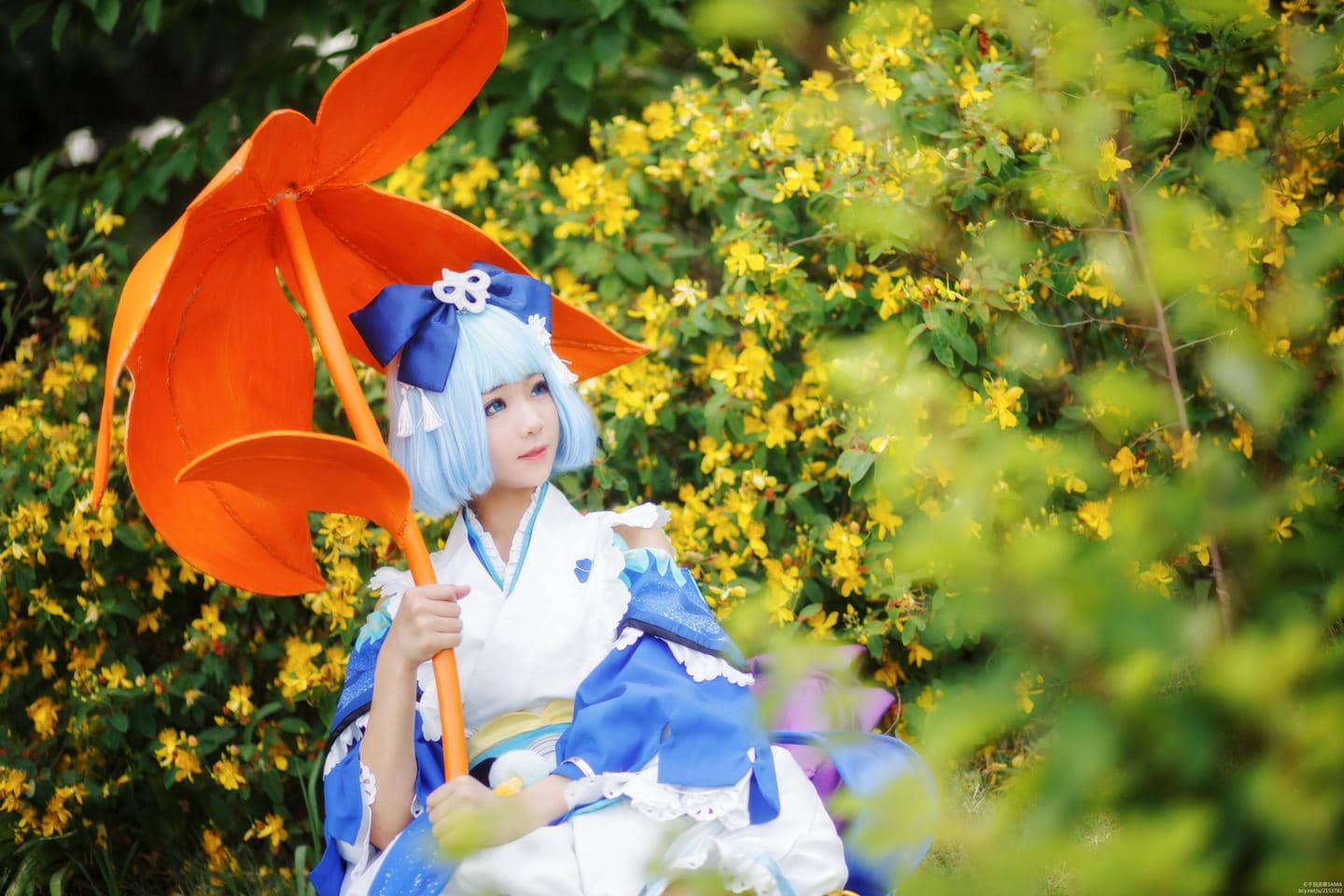 阴阳师萤草cosplay-萌图百科