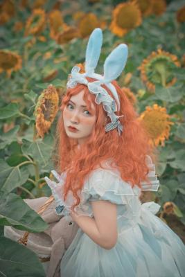 lolita私影，仙境中的小兔子-萌图百科